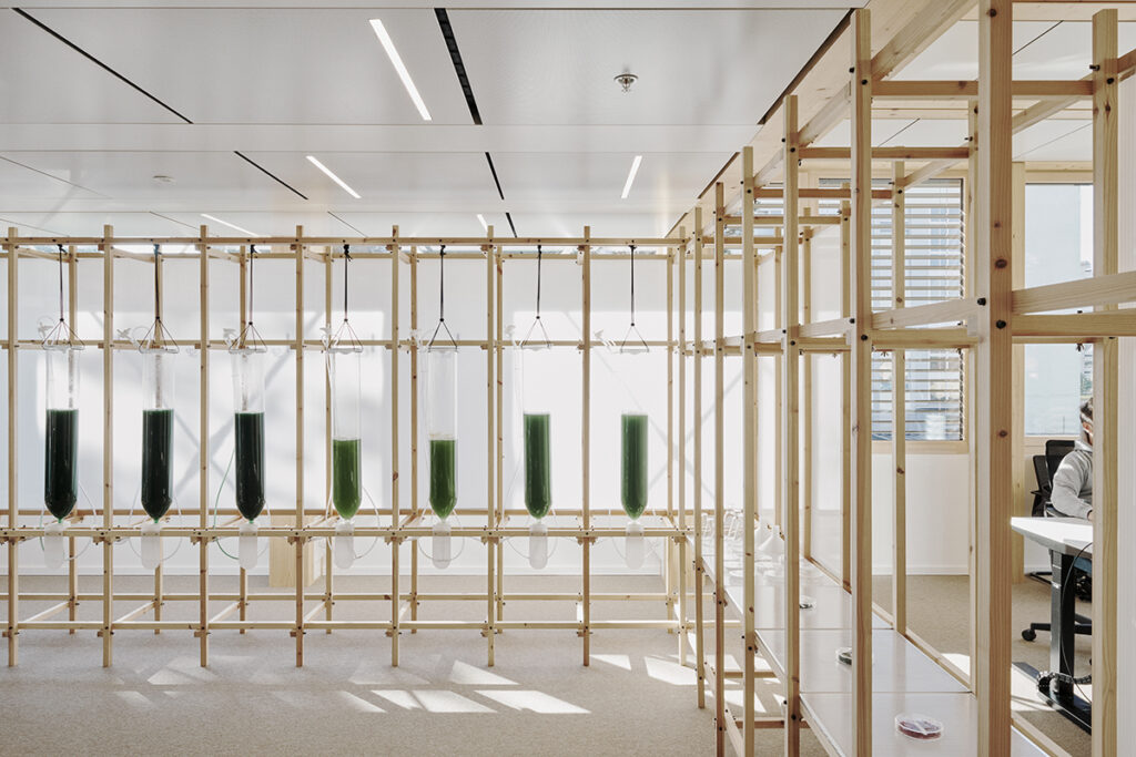 ecoLogicStudio
